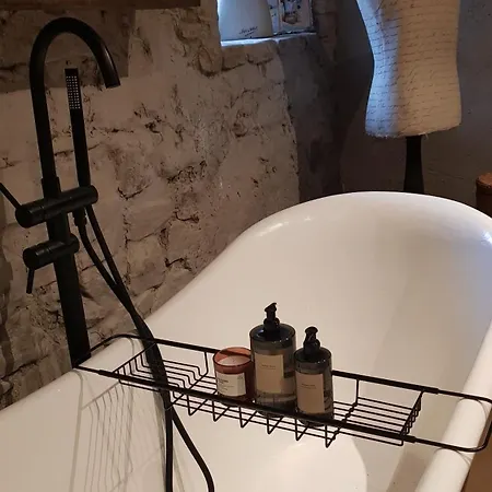 Le Des Flaneurs 비엘살름