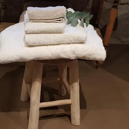 Le Des Flaneurs 비엘살름