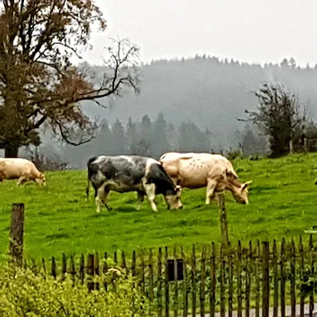 Le Des Flaneurs B&B 비엘살름